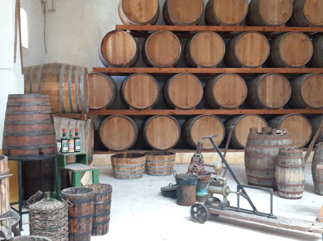 CANTINA MARTINEZ dal 1866-马尔萨拉必去景点