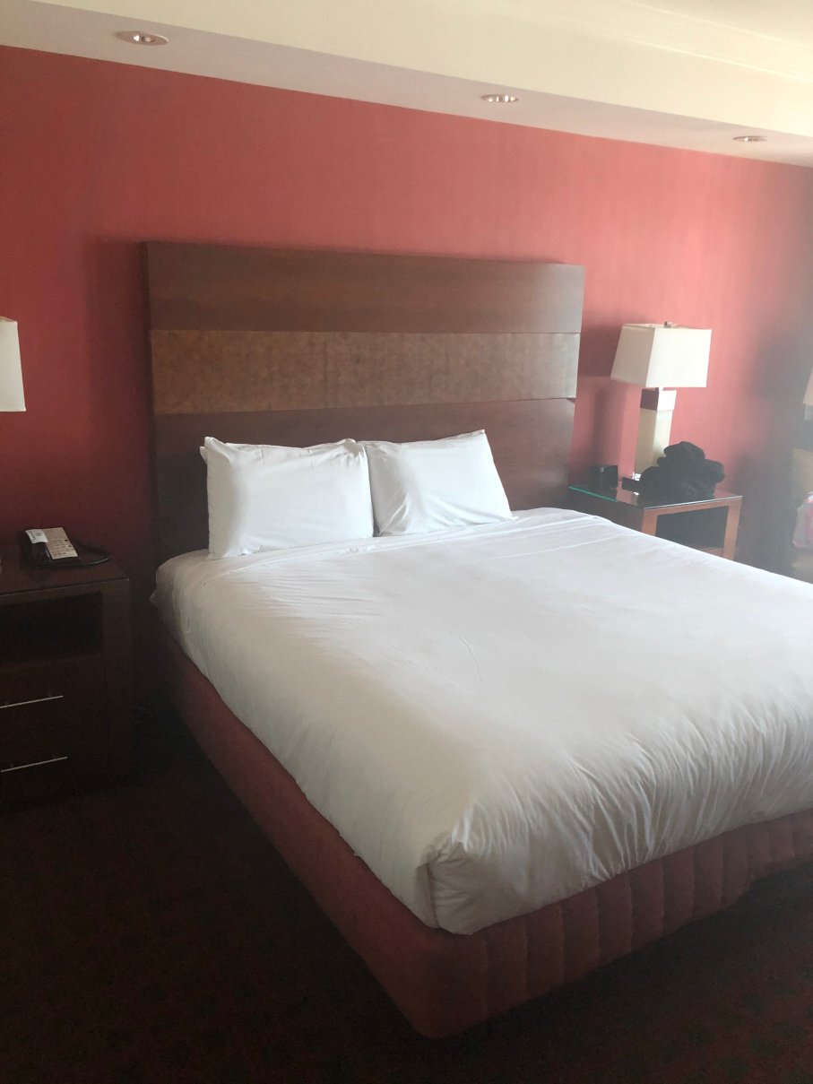 大雪松酒店-福克斯伍兹-官方