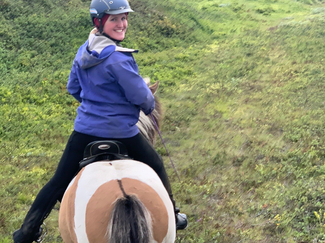 Eyjardalsa-胡萨维克必去景点