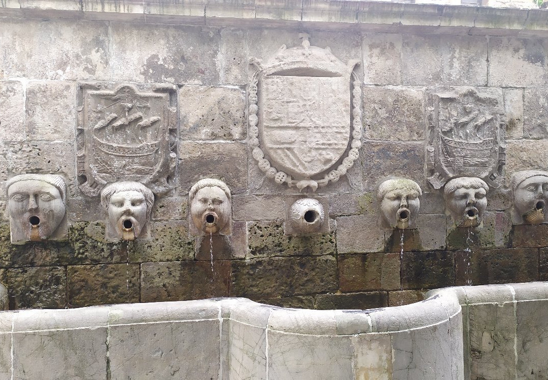Fuente de los Canos de San Francisco景点图片