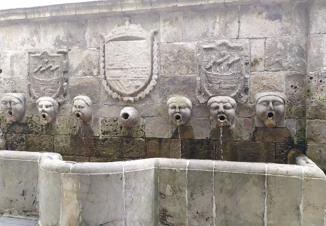 Fuente de los Canos de San Francisco景点图片