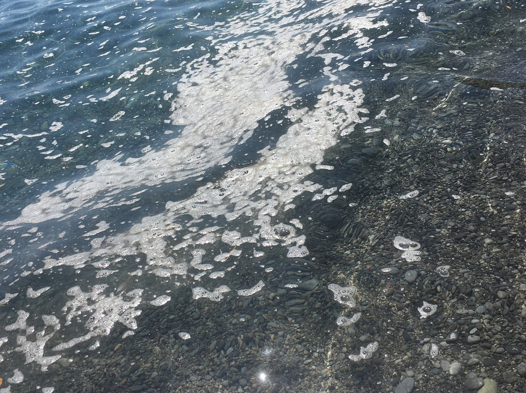 Spiaggia della Molara景点图片