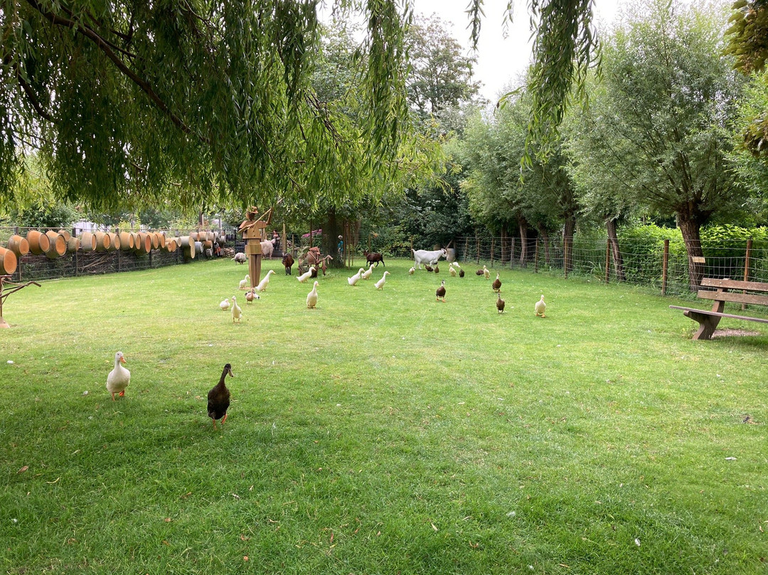 Kinderboerderij ‘t Dierenduintje景点图片