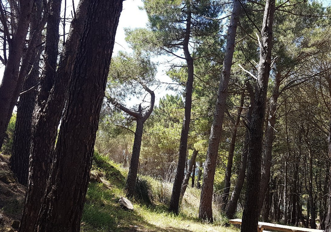 Parco Ecologico di Piano Collura-Castell'Umberto必去景点