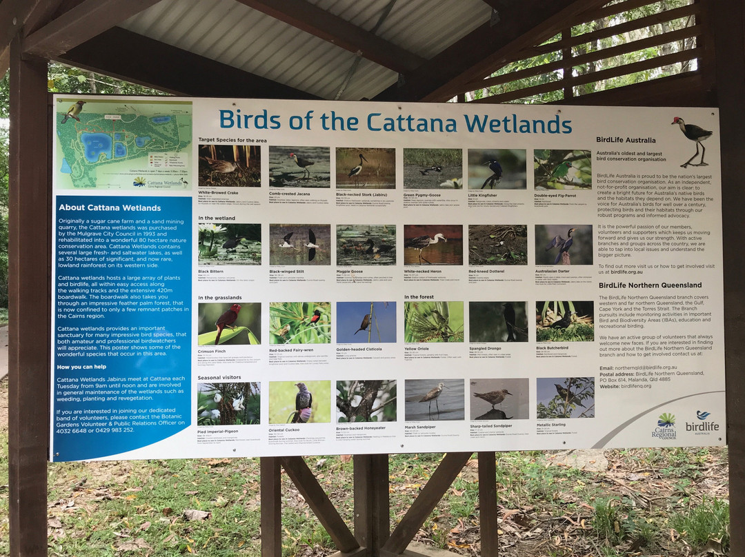 Cattana Wetlands景点图片