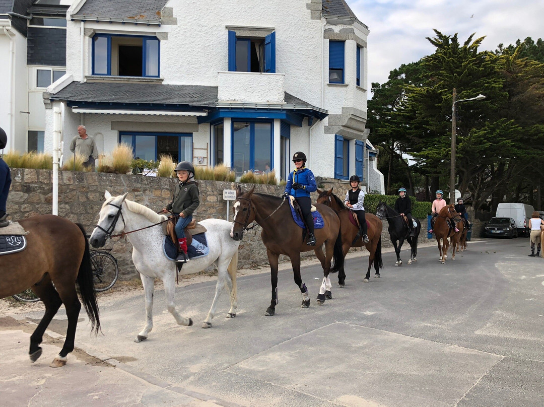 Centre Equestre Baulois景点图片