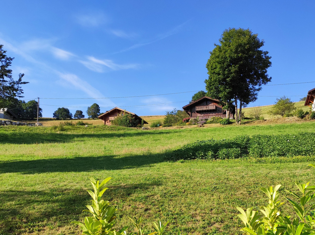 Gite B&B - Haute Savoie - Chez Louise主图
