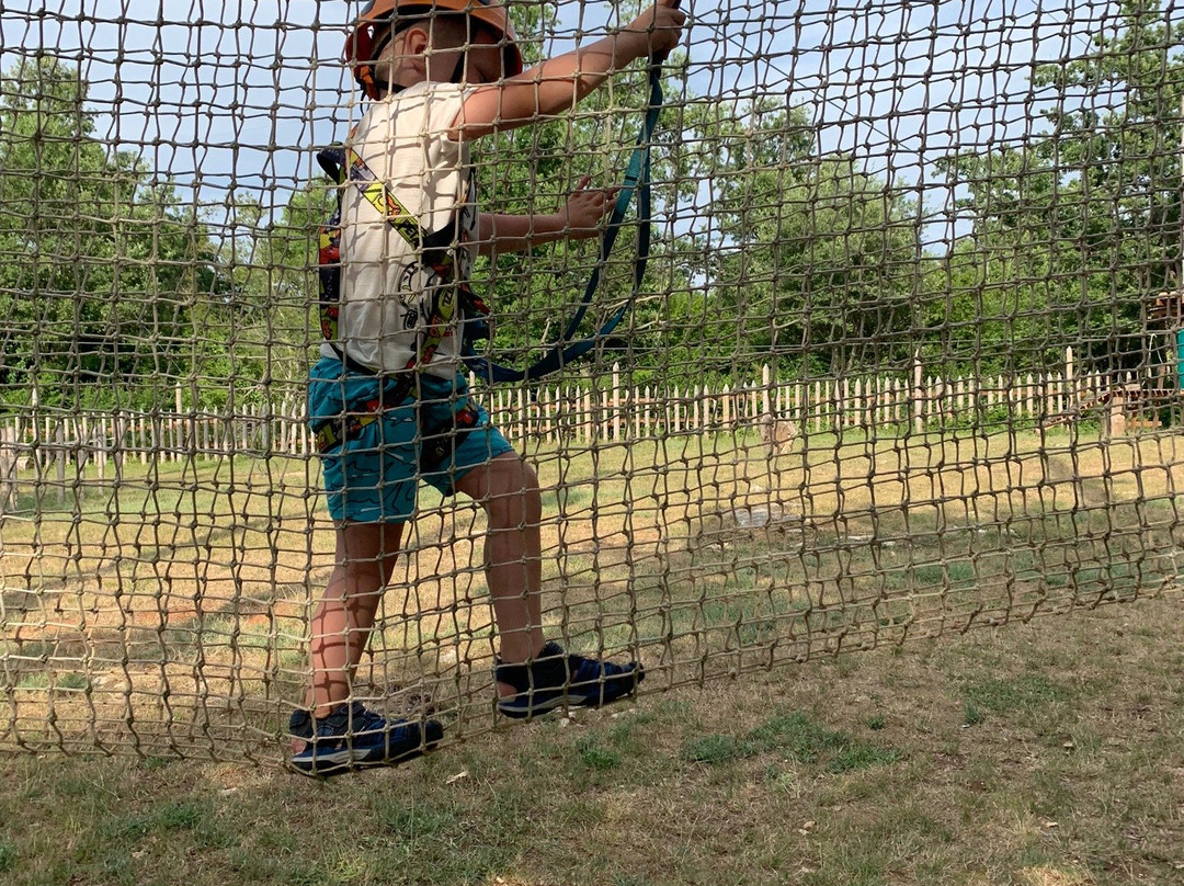 Adventure Park Sky Fox景点图片