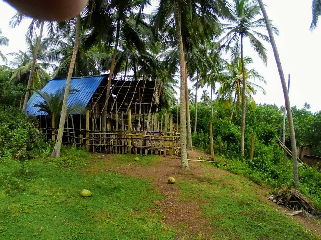 Singing Bird Cabana Rekawa Beach主图
