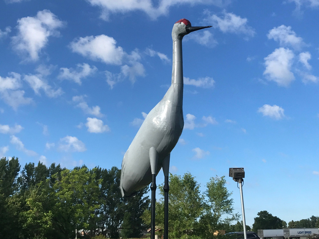 World's Largest Sandhill Crane景点图片