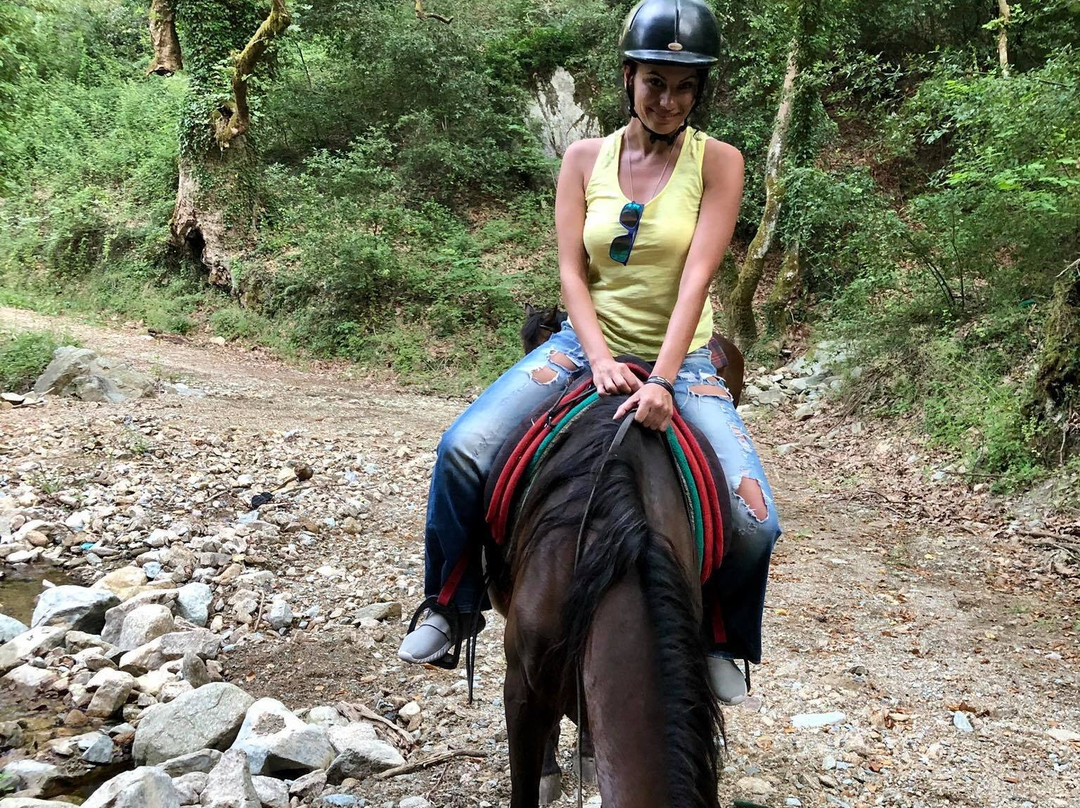 Tasso & Kris Horse Riding Center-Istiaia必去景点