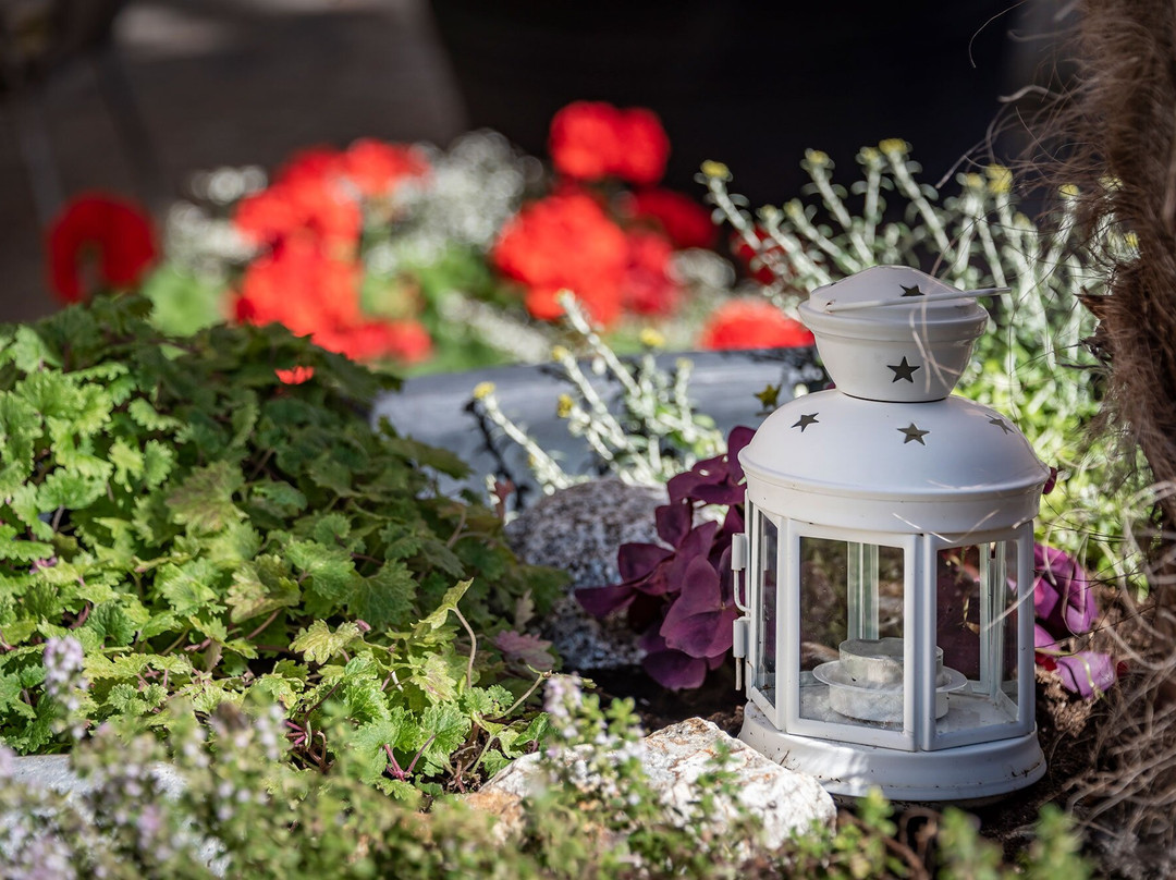 Hotel Weisse Lilie - Giglio Bianco主图