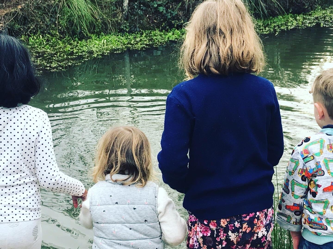 41 South Salmon and Ginseng Farm and Cafe-德洛兰恩必去景点