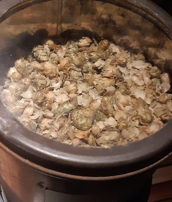 The Hop Museum景点图片