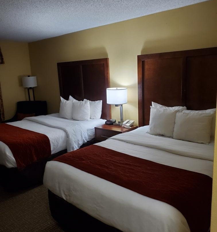 Comfort Inn Brownsville I-40主图