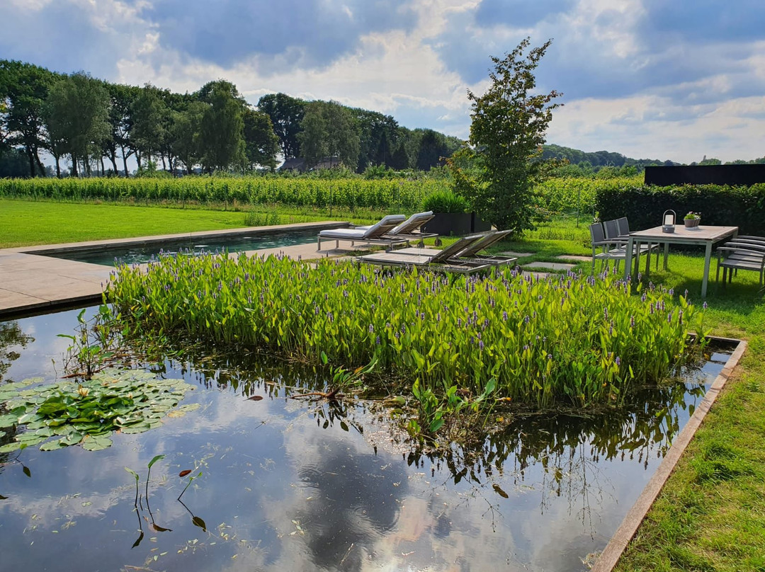 Bed and Breakfast Heikantsehoeve