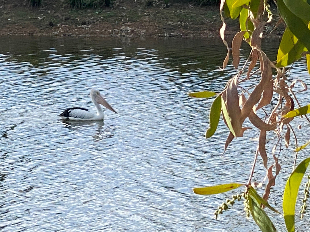 Hoods Lagoon-Clermont必去景点