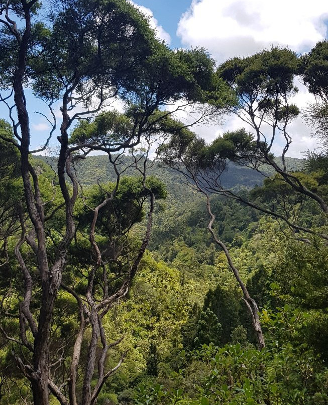 Mercer Bay Loop-皮哈海滩必去景点