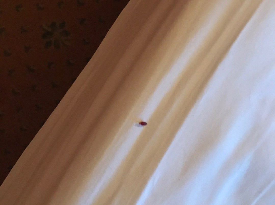 Hotel Le Marbore主图
