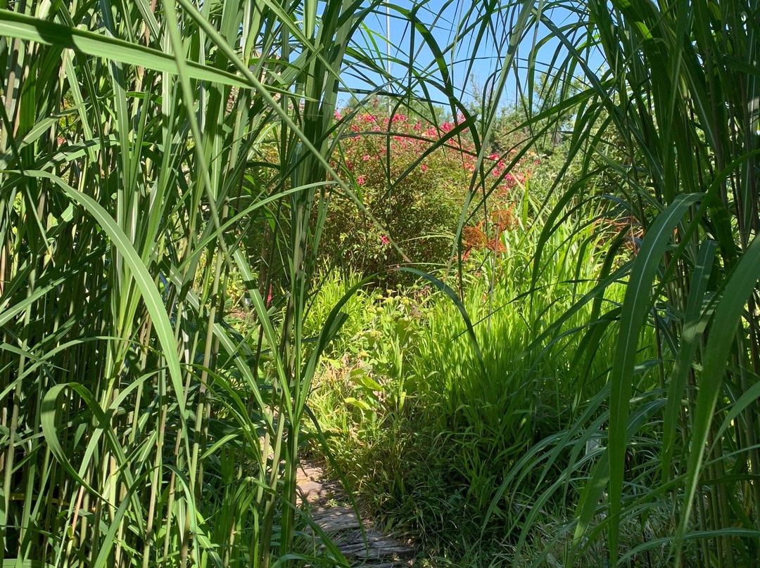 Jardin des Paradis景点图片