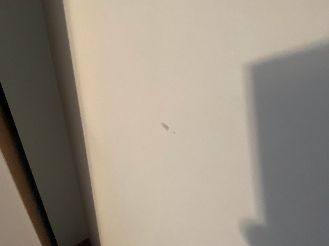 Hotel Ristorante Moretti主图