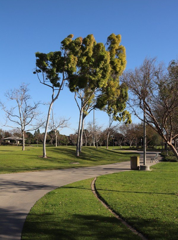 Bill Barber Memorial Park