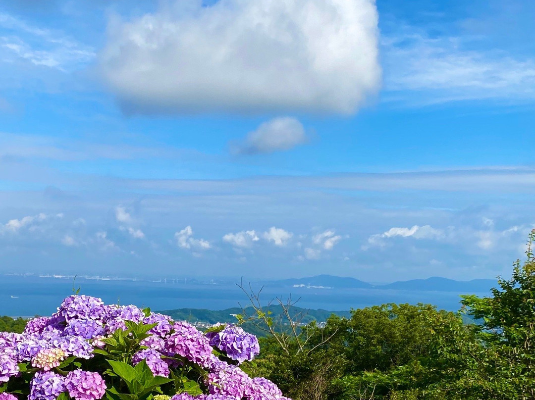 Mt. Sangane Skyline景点图片