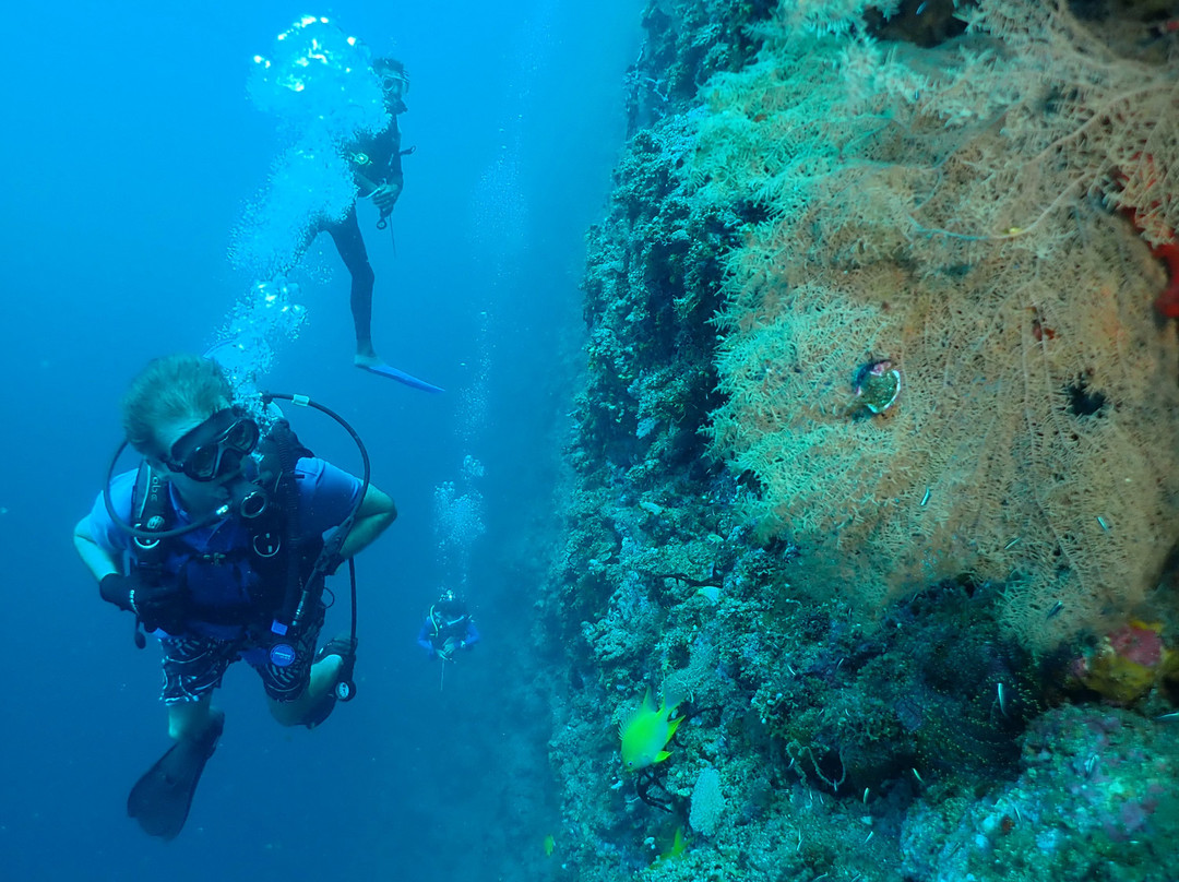 Rabaul Dive Adventures-Kokopo必去景点