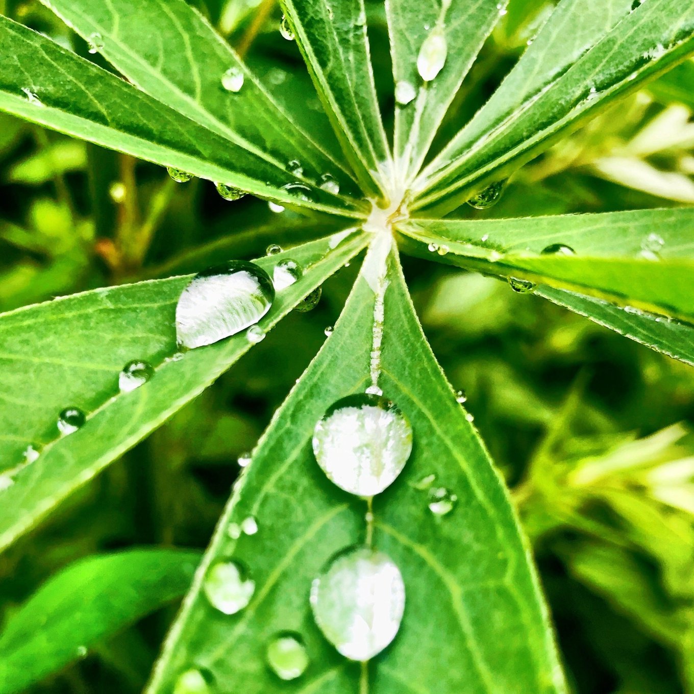 Hotel Rosslhof-浴室