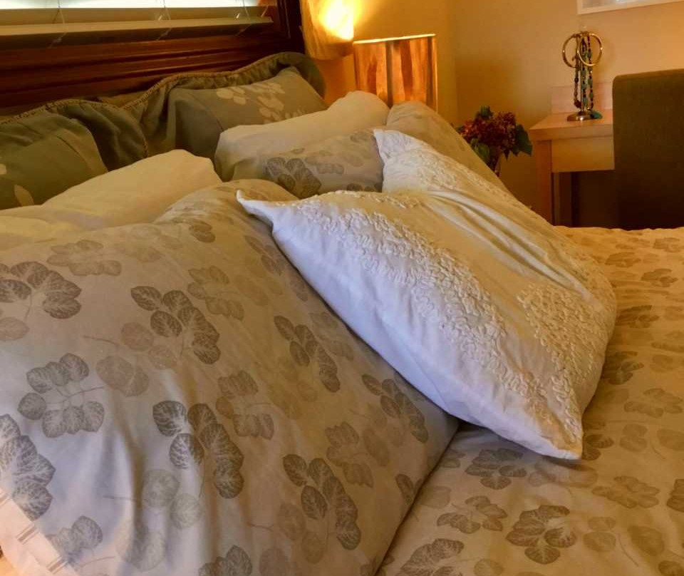 High Hopes Bed & Breakfast主图