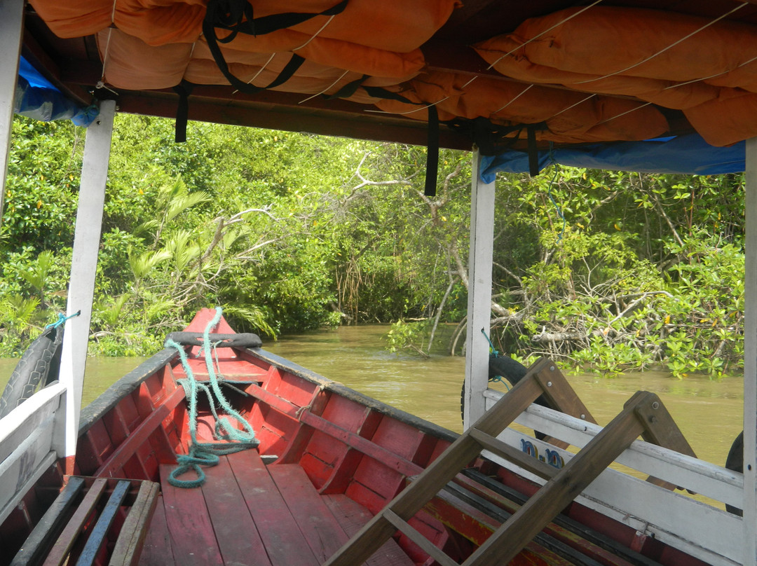 Furo do Miguelão-Ilha do Marajo必去景点