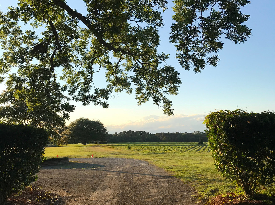 Ashburn Hill Plantation主图