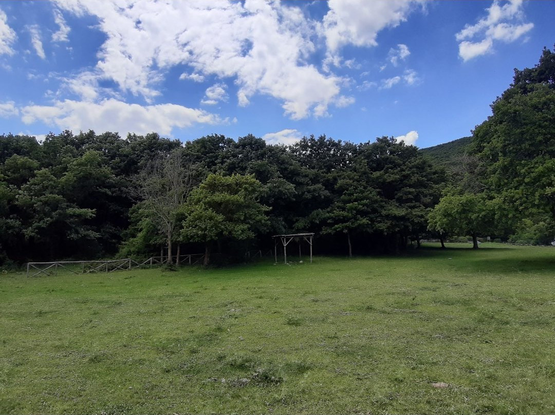 Bosco Paduli-Accadia必去景点