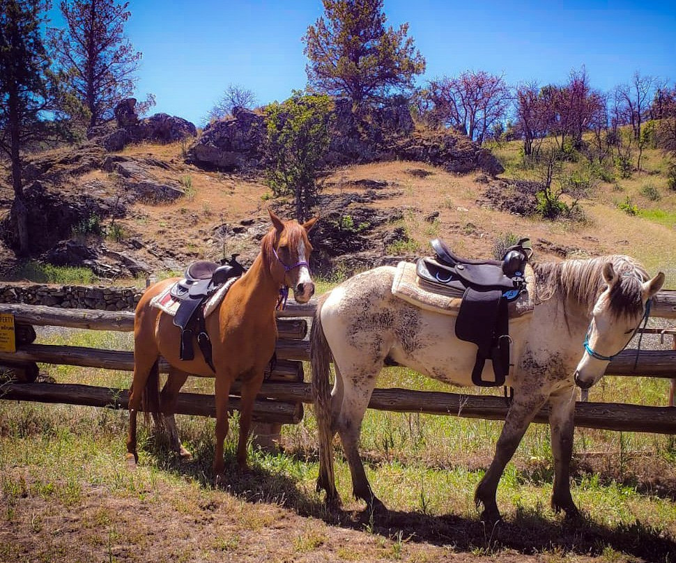 Iron Gate Ranch-Hornbrook必去景点