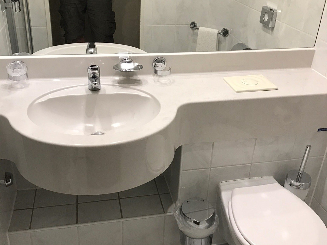 Schwarzer Adler主图