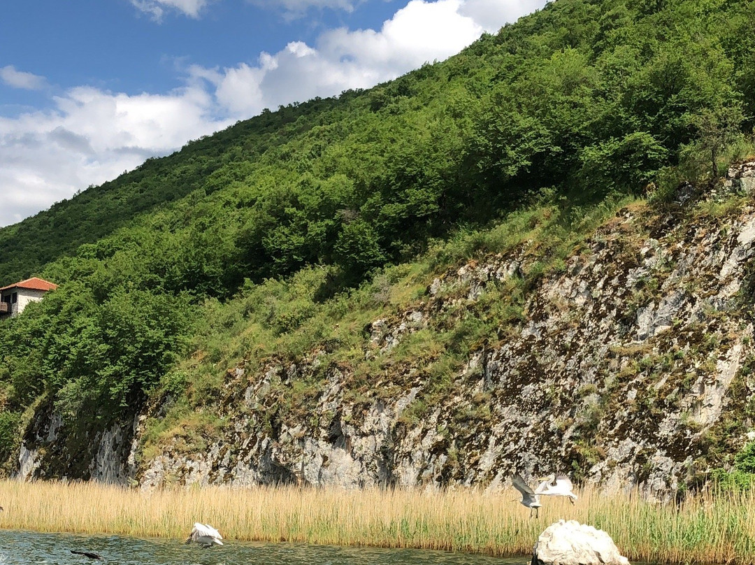 Φύση και Πολιτισμός  /  Wildlife and Culture景点图片