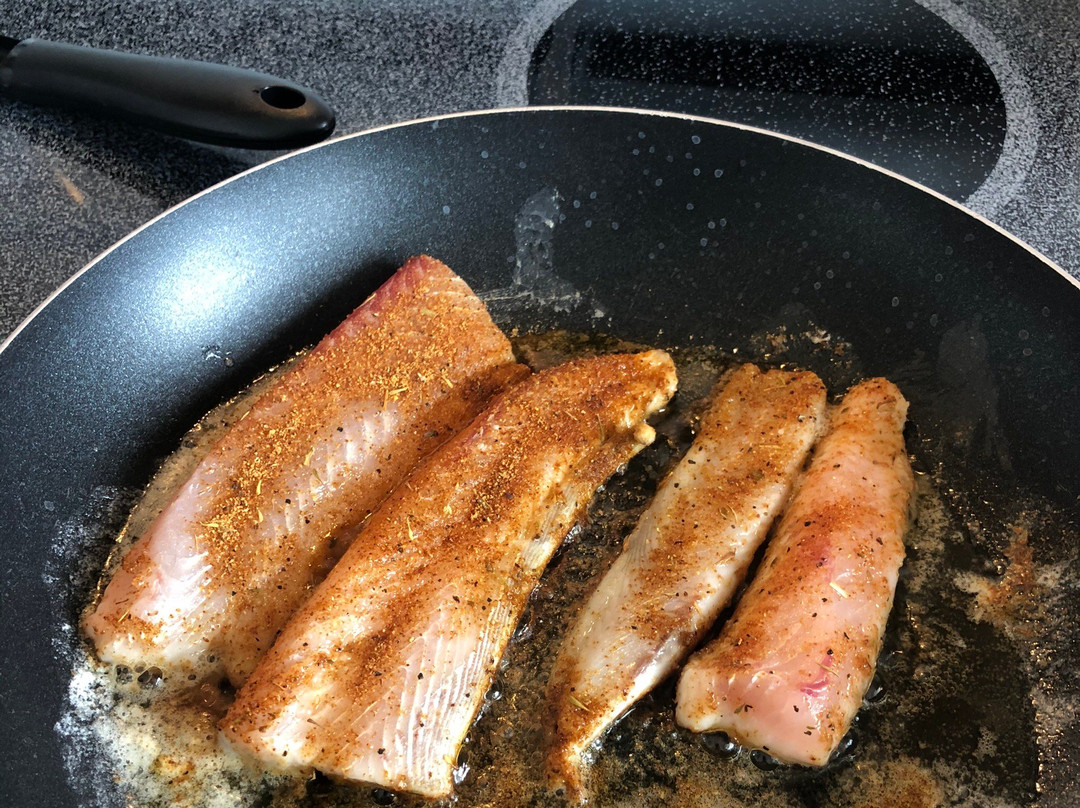 Nicole Fishing Charters-格尔夫海岸必去景点