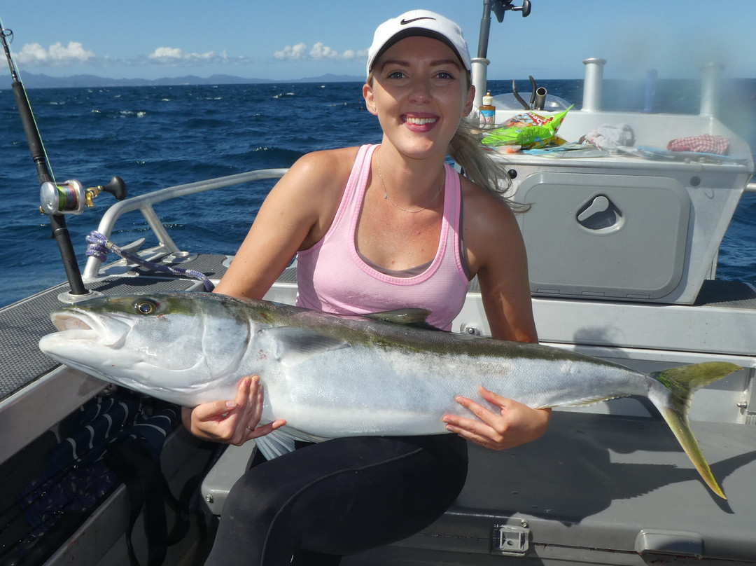 Northside Adventures-奥克兰中心地区必去景点