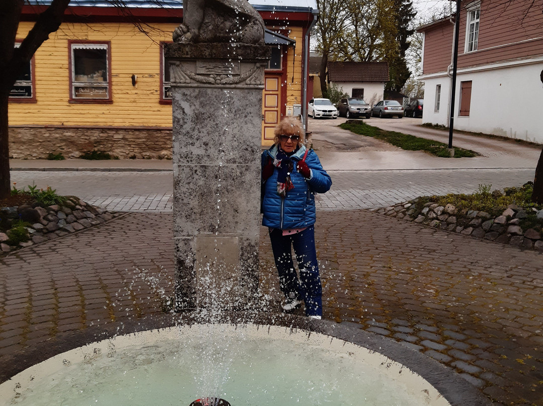 Haapsalu Old Town-哈普萨鲁必去景点