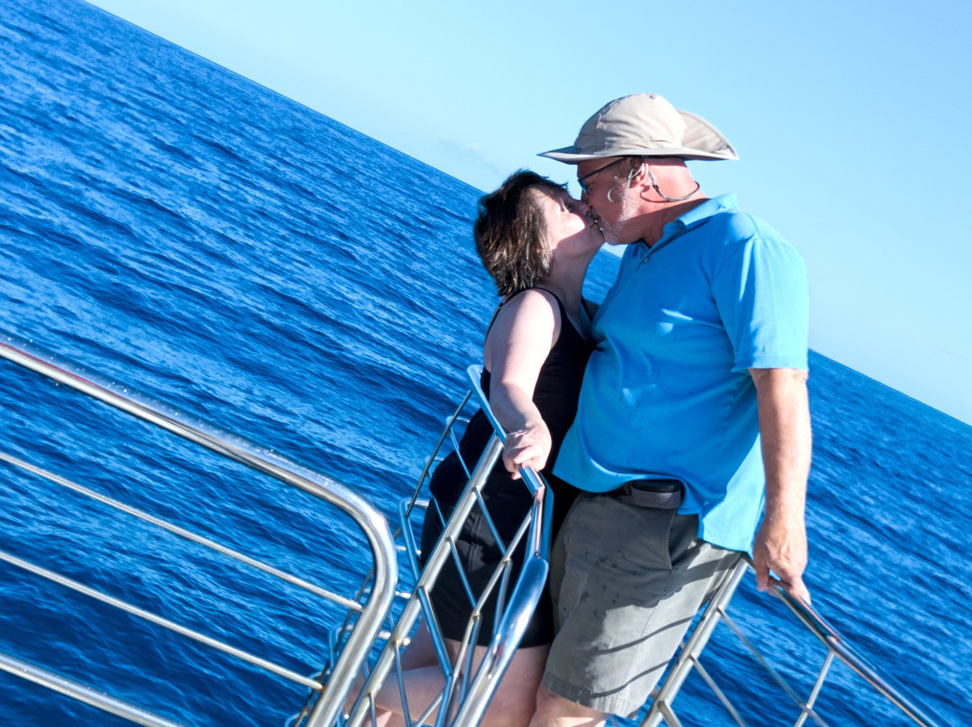 Blue Dolphin Charters-埃里埃利必去景点