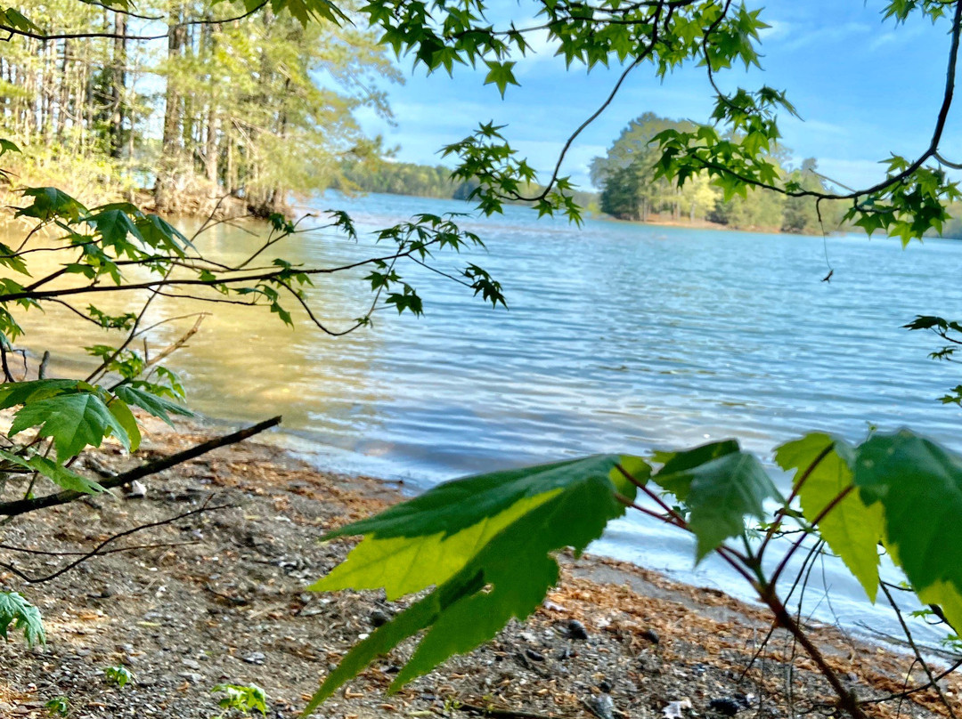 Little Ridge Park-卡明必去景点