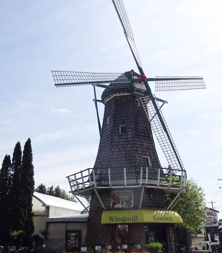 Windmill Garden Centre and Butterfly House景点图片