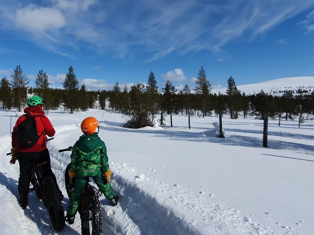 Roll Outdoors Saariselkä-撒利塞卡必去景点