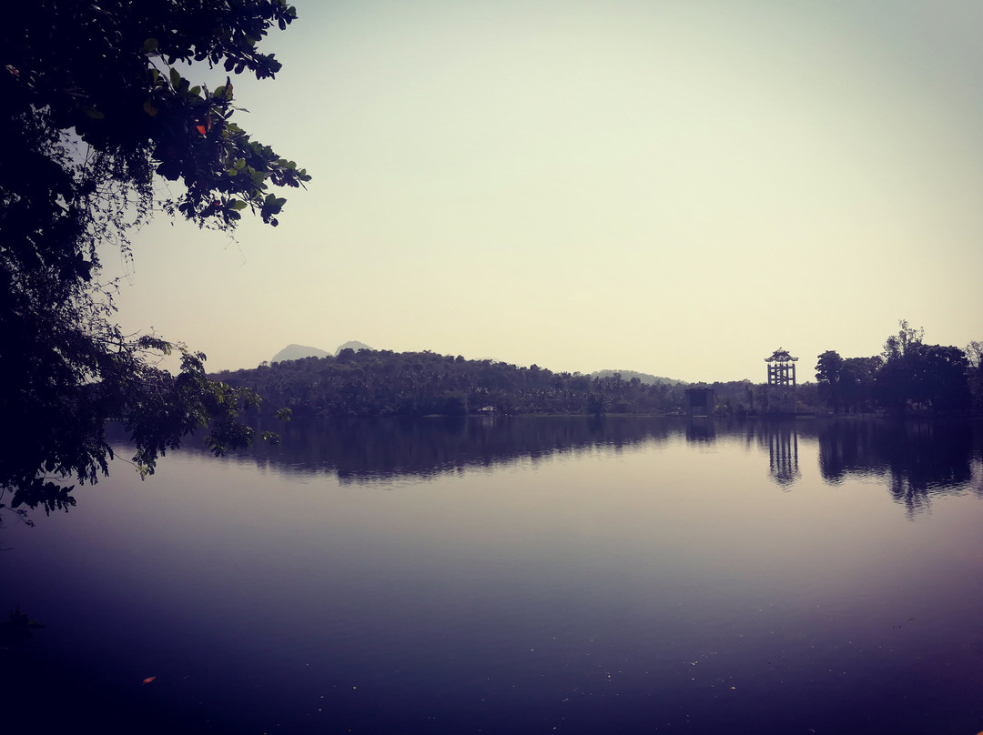 BhoothathanKettu Dam & Reserve Forest景点图片