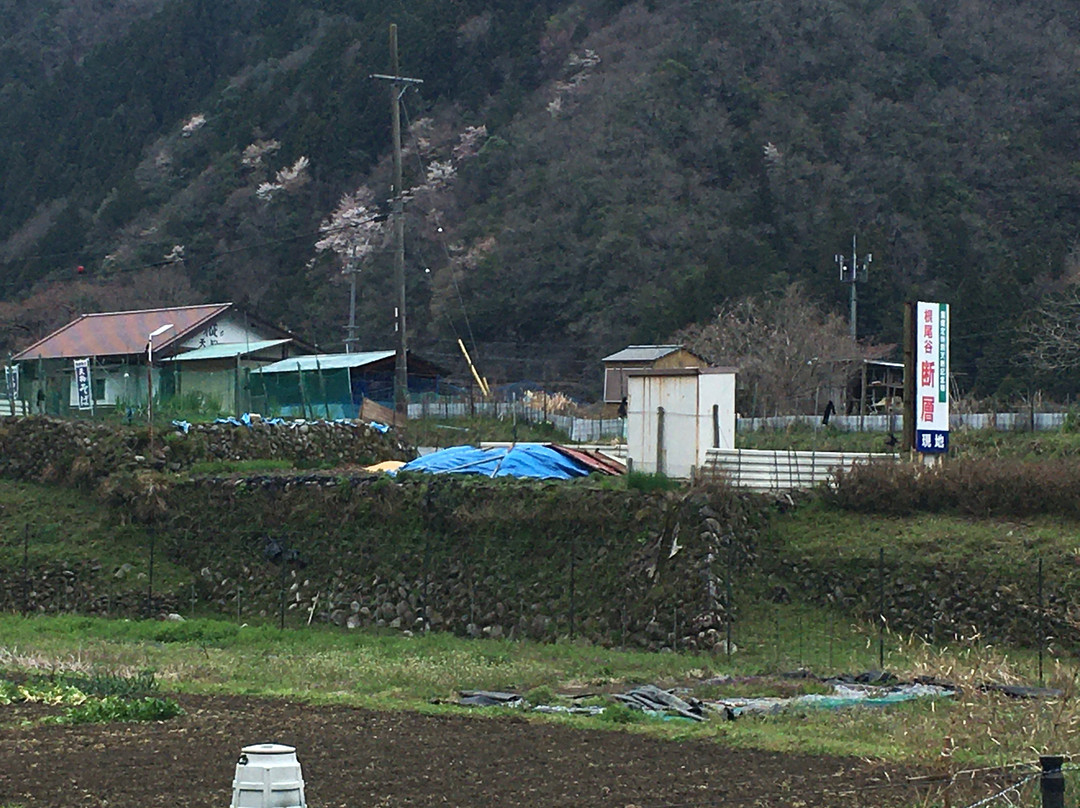 Noedani Fault-本巢市必去景点