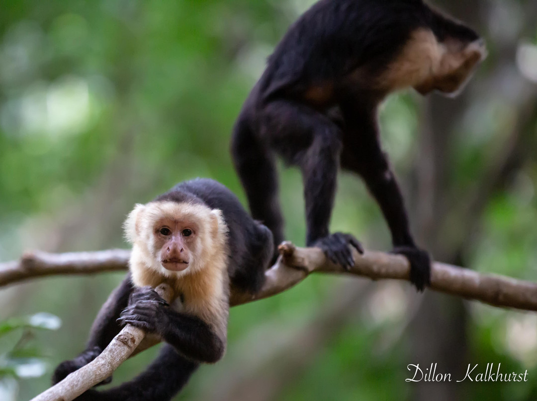 Ylang Ylang Beach Resort主图