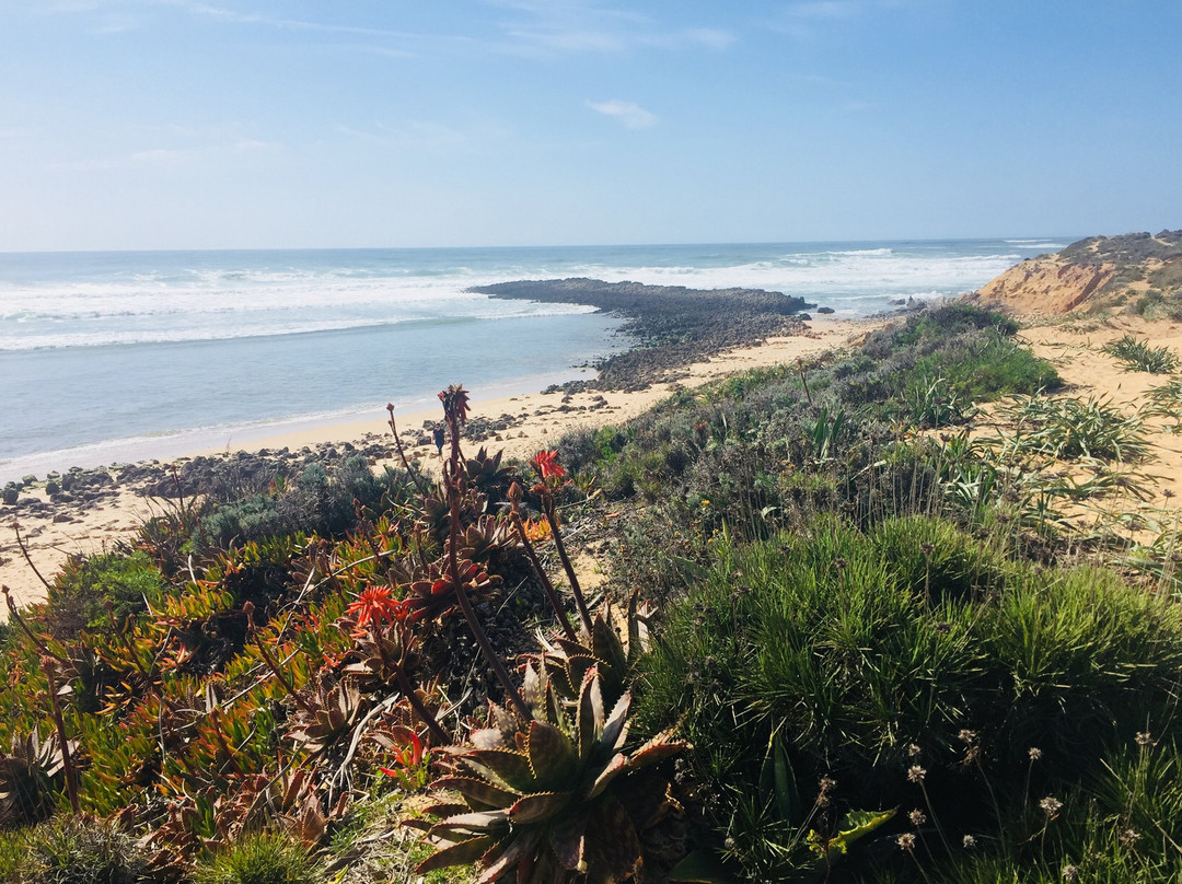 Praia do Farol景点图片