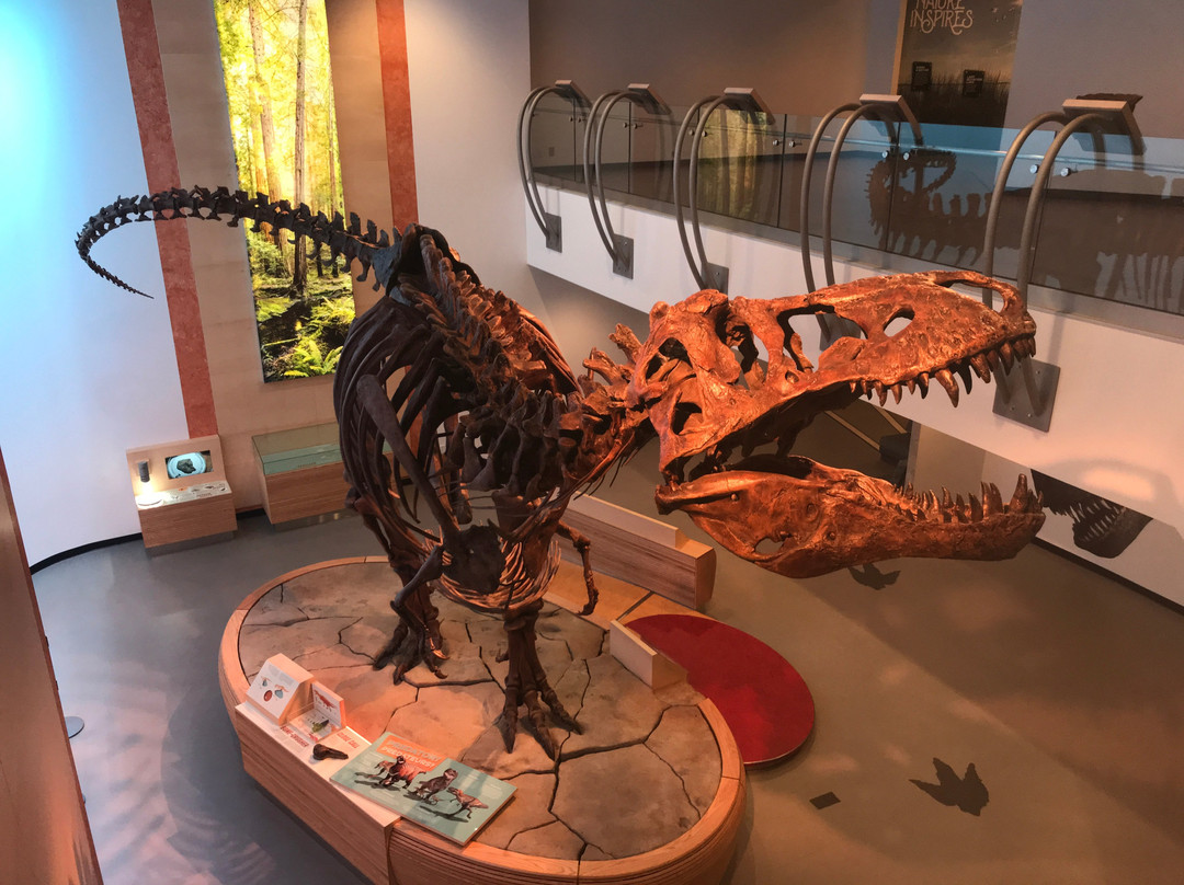 Royal Saskatchewan Museum-里贾纳必去景点