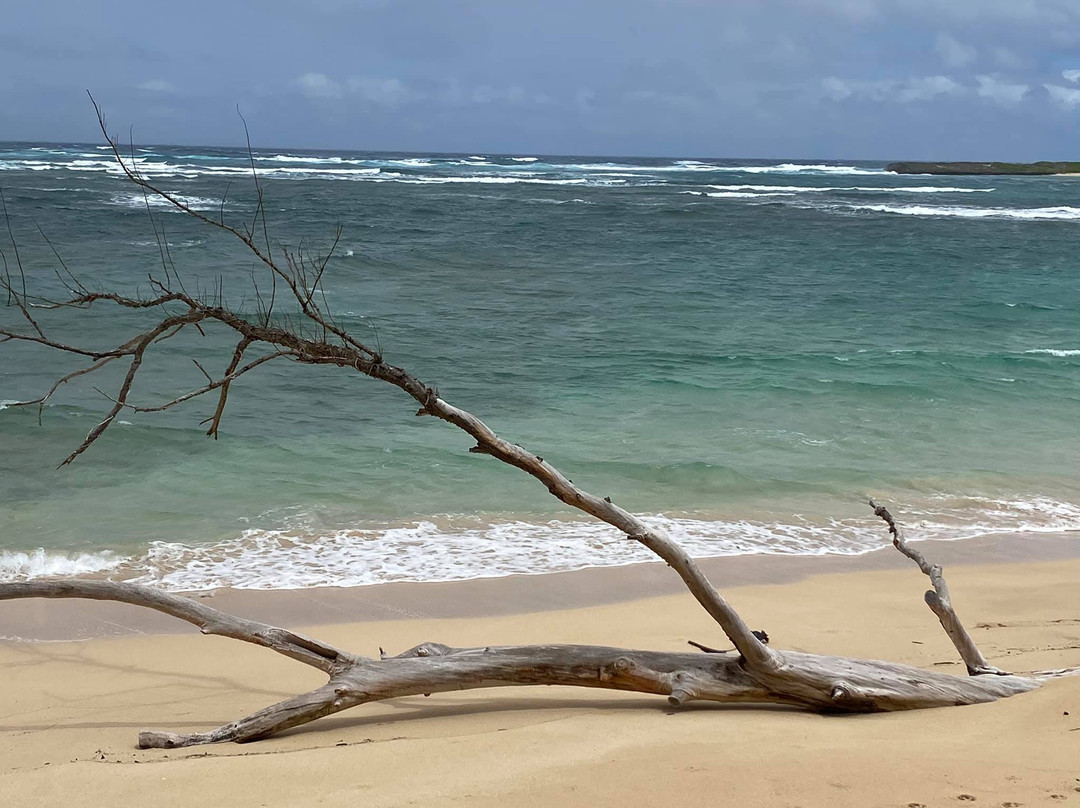Malaekahana State Recreation Area-拉叶必去景点