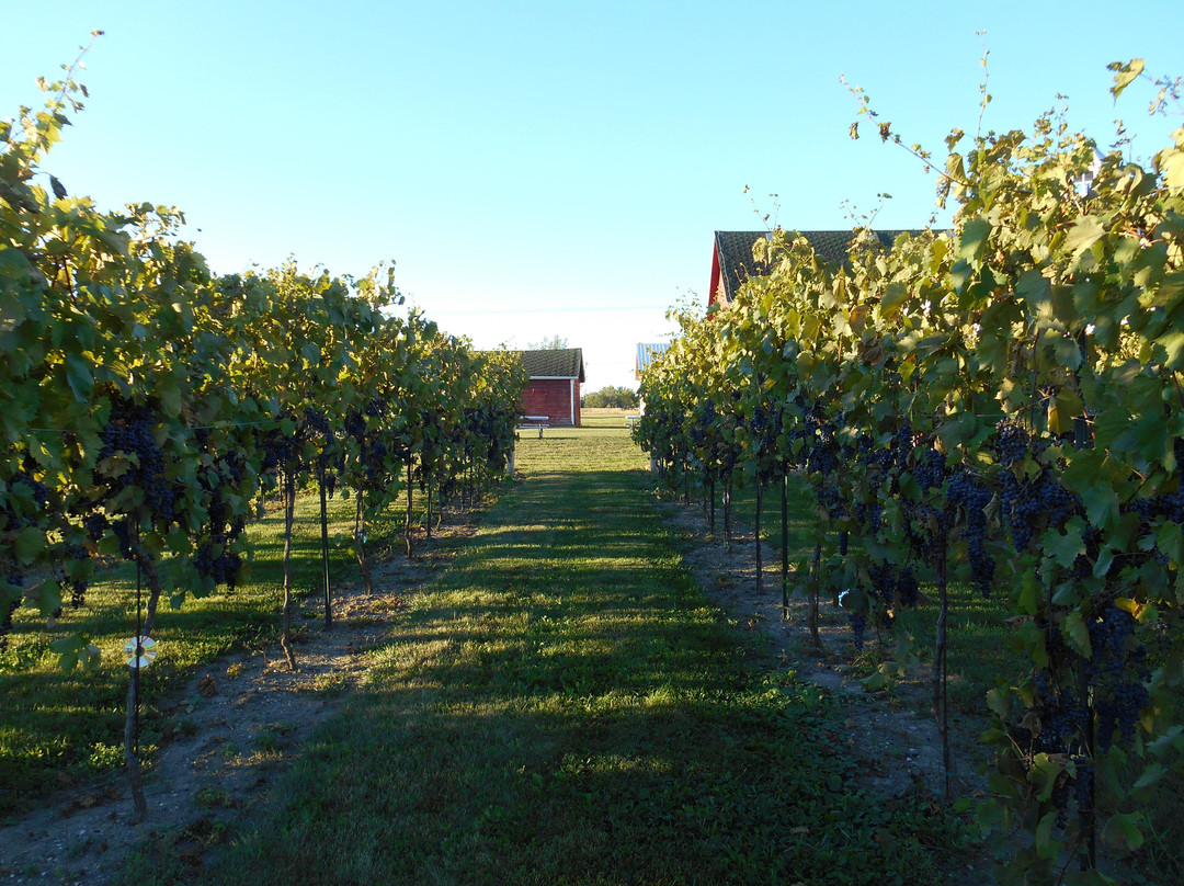 Staller Estate Winery-Delavan必去景点